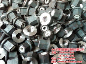 梯形扣螺母,梯形扣螺母定做,梯形扣螺母廠(chǎng)家 賽超 優(yōu)質(zhì)商家